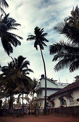 Image showing Hotel in tropics