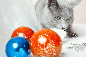 Image showing Cat and Christmas balls