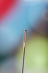 Image showing Sewing needle