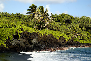 Image showing Tropical Beach