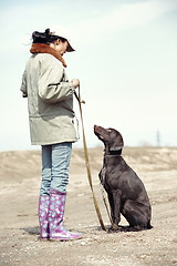 Image showing Dog training