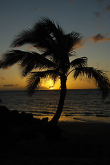 Image showing Tropical sunset