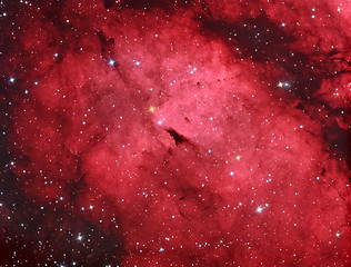 Image showing IC1318 Gamma cygni nebula