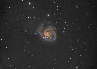 Image showing M101 Pinwheel Galaxy