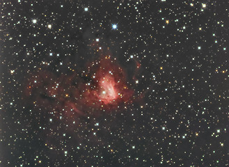 Image showing NGC1491 in Perseus