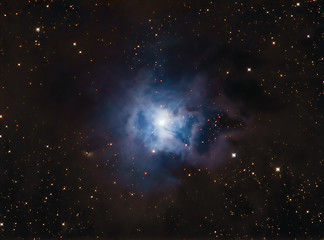 Image showing NGC7023 Iris Nebula