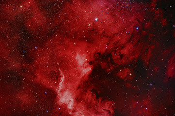 Image showing NGC7000 North America Nebula