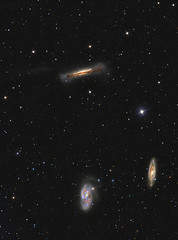 Image showing Leo Triplet