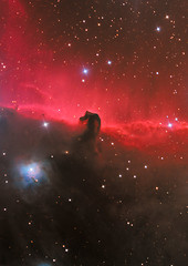 Image showing HorseHead Nebula