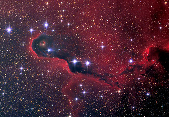 Image showing vdb142 Elephants Trunk nebula