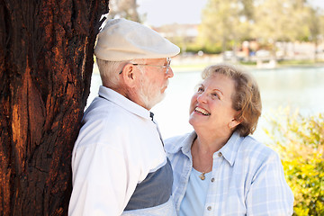 Image showing Happy Senior Couple in The Park