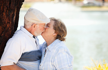 Image showing Happy Senior Couple in The Park