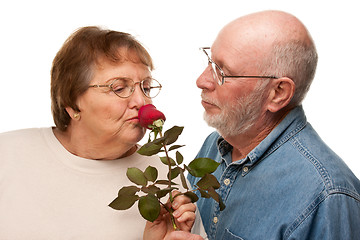 Image showing Happy Senior Husband Giving Red Rose to Wife