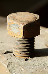 Image showing Rusty bolt