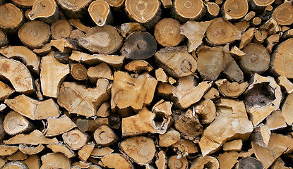 Image showing Background of Firewood