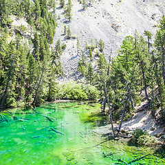 Image showing Green Lake