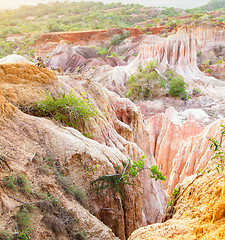 Image showing Marafa Canyon - Kenya