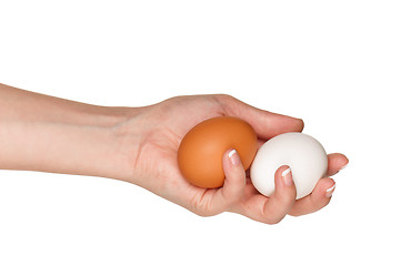 Image showing Hand with egg