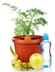 Image showing Carrot in plastic pot