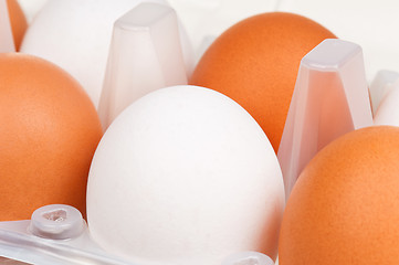 Image showing Eggs in box