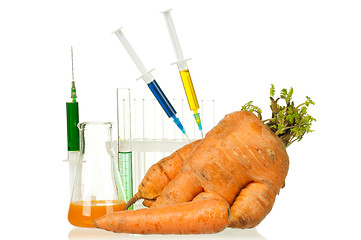 Image showing Genetically modified organism