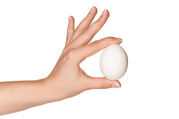 Image showing Hand with egg