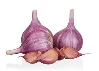 Image showing Fresh garlic