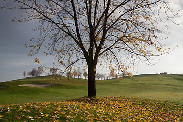 Image showing The golf course at sunrise in autumn