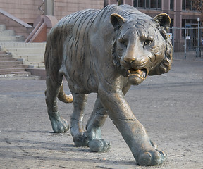 Image showing Nordic tiger