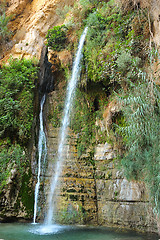 Image showing Ein Gedi Nature Reserve off the coast of the Dead Sea