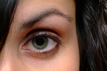 Image showing green eye