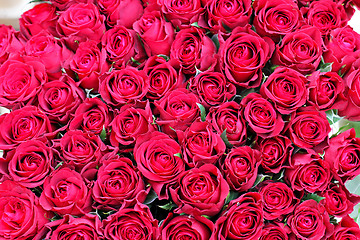 Image showing Red roses