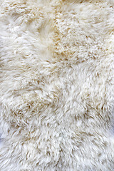 Image showing Fur material