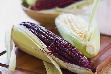 Image showing Fresh corn