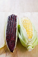 Image showing Fresh corn