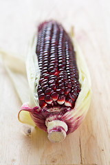 Image showing Fresh corn