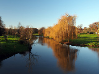 Image showing Trees reflections at dawn, Vonne river in Winter