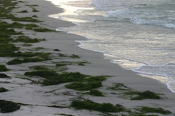 Image showing beach in sweden