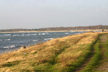 Image showing coast