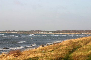 Image showing coast