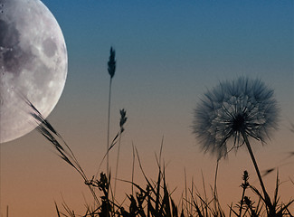 Image showing Landscape with the moon