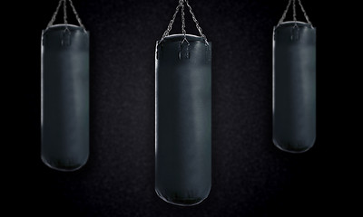 Image showing Punching bag