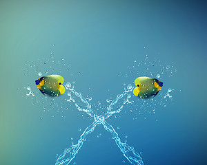 Image showing Angelfish jumping