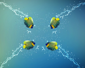 Image showing Angelfish jumping