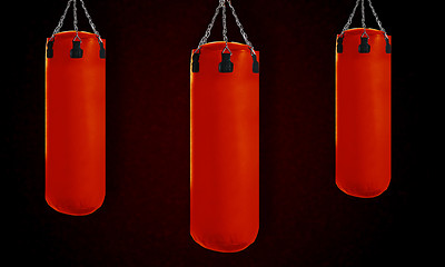 Image showing Punching bag