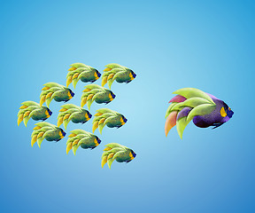 Image showing big angelfish leading group of angelfish