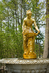 Image showing Fountains of Peterhof. St. Petersburg. Russia.