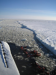 Image showing broken sea ice