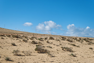 Image showing Fuerteventura