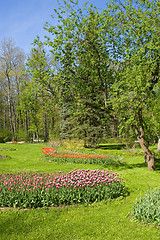 Image showing Catherine Palace Park. St. Petersburg. Russia.